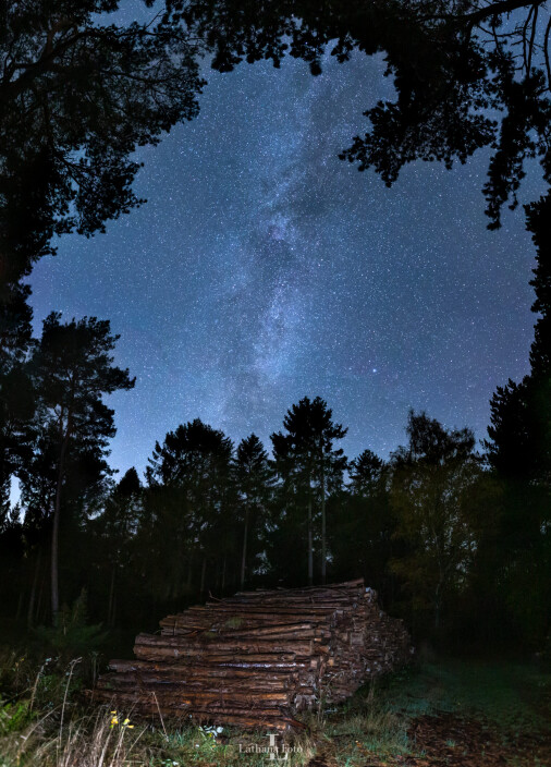 mælkevej med træstubbe 061120