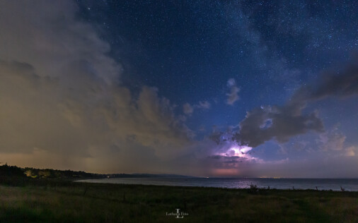 310819 Kornmod og mælkevejen på Ordrup Næs