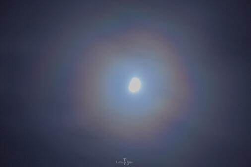 Corona 220121 1a