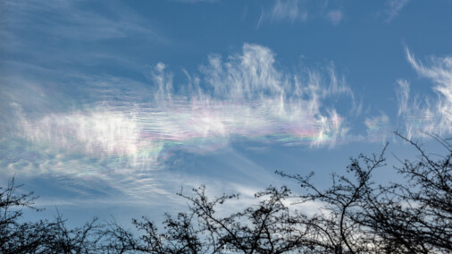 Iriserende skyer 150122 i haven 1