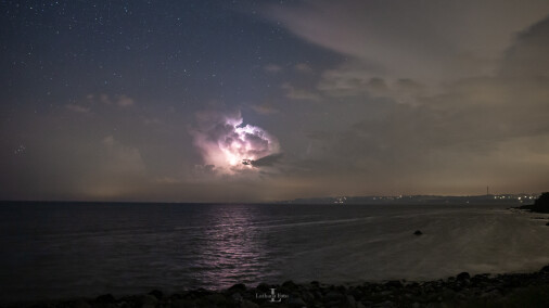 310819 Kornmod på Ordrup Næs