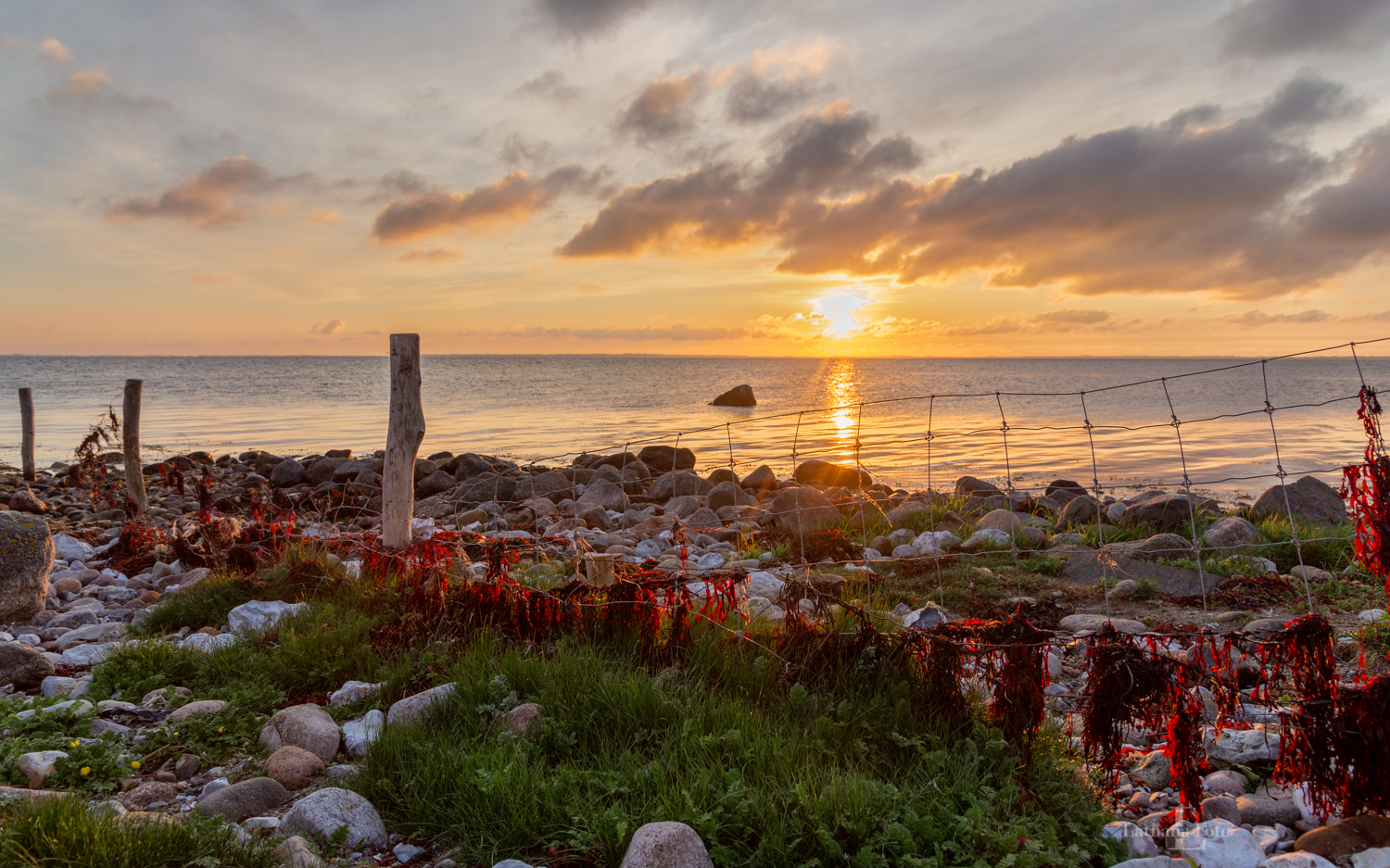 230519 Solopgang Ordrup Næs