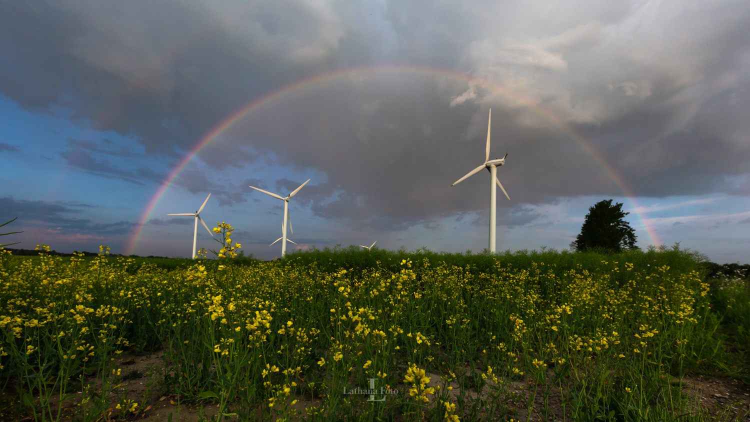 030619 Regnbue over Hagesholm