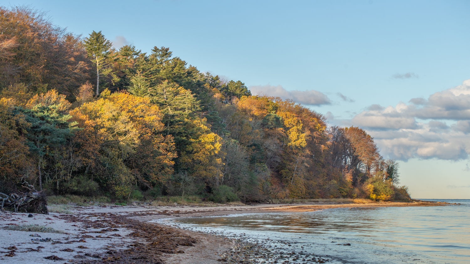 291019 Solopgang ved Høve skov og strand