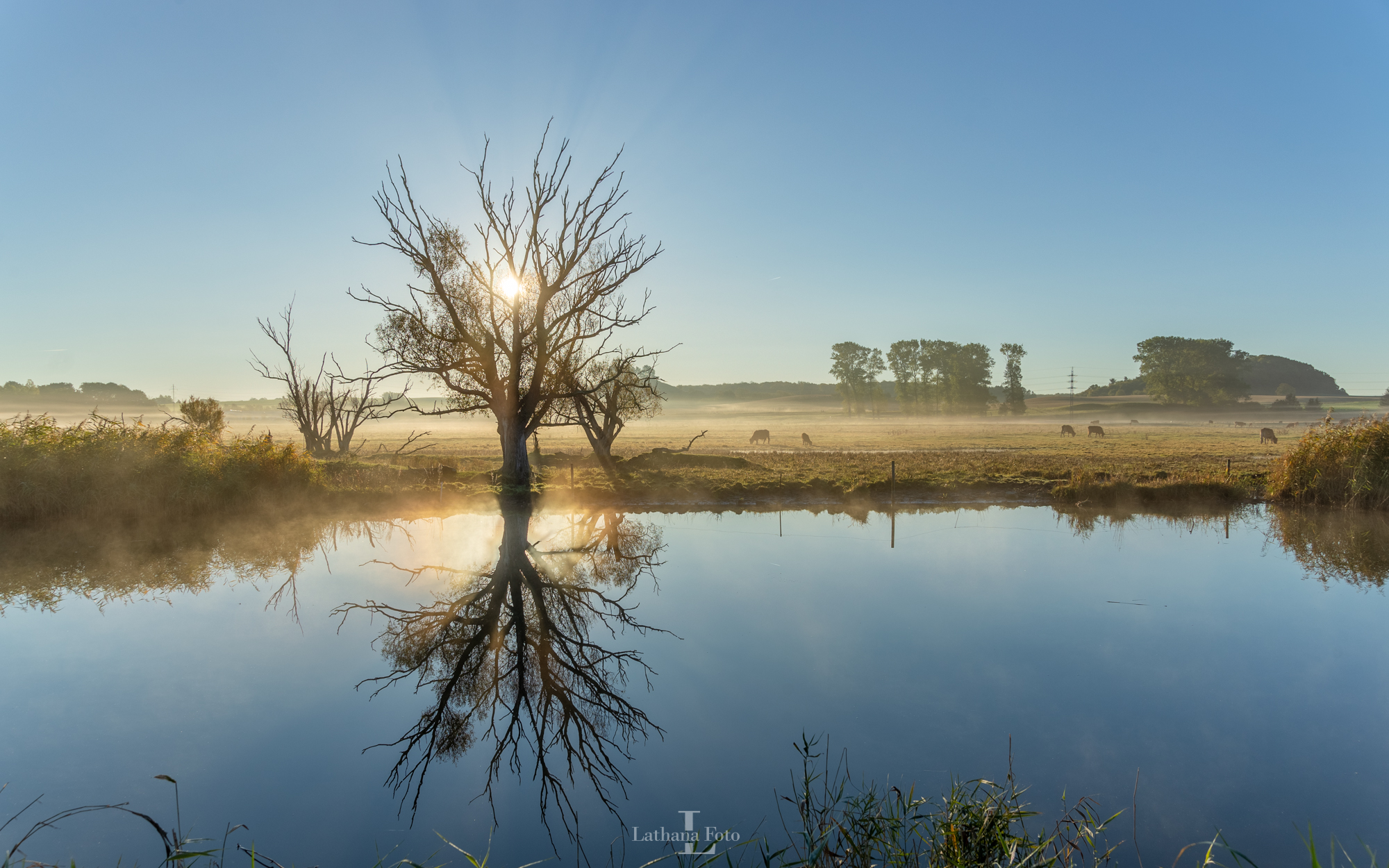 Hagestedstien 171020 1