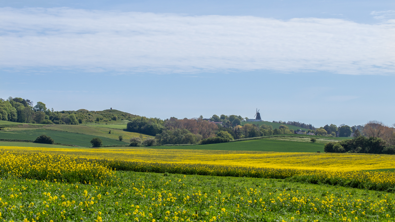 Høve mølle og esterhøjstenen 210520