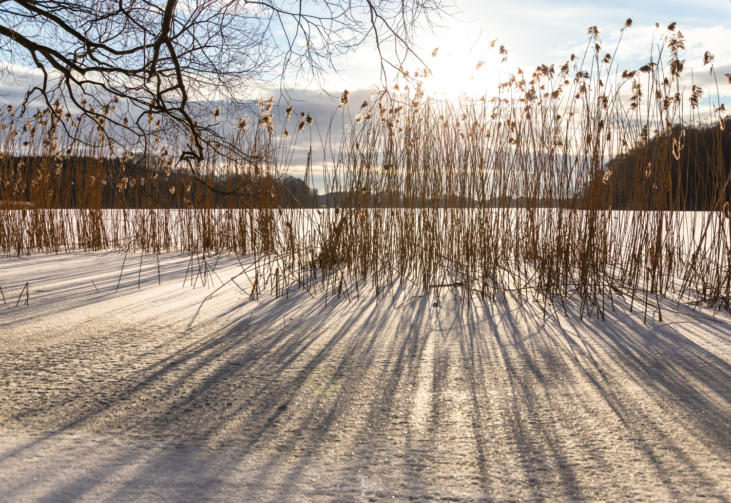 Skarridsø 050221 3