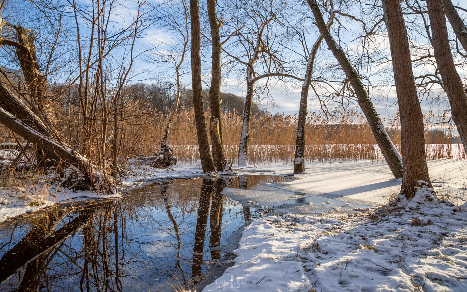 Skarridsø 050221 4