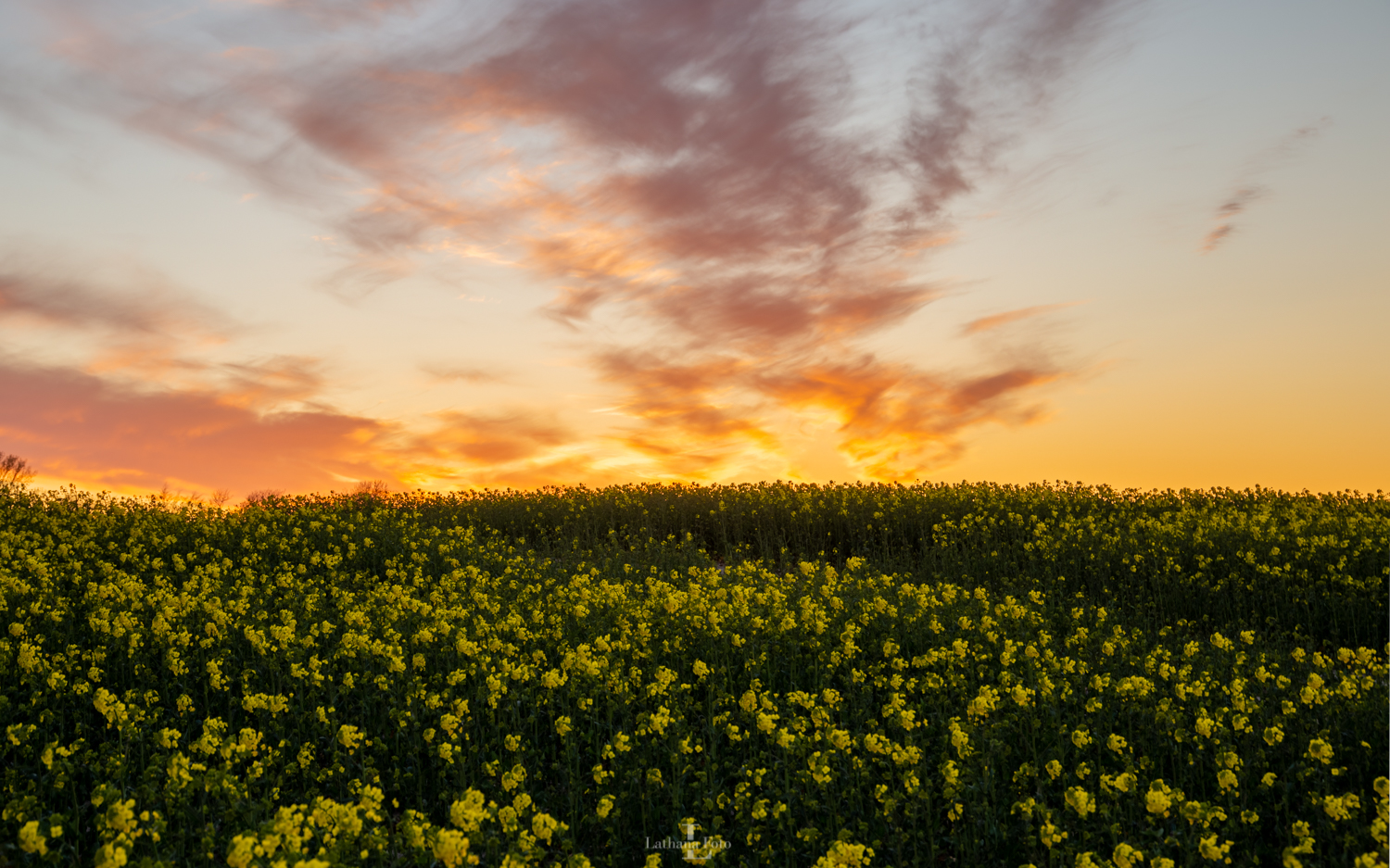 solnedgang 170420 3a