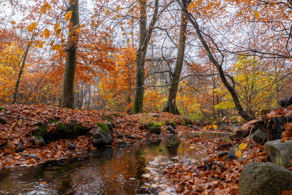 St. jyderup 121123-