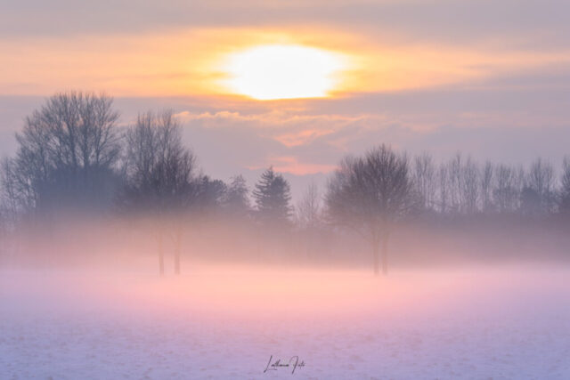 solnedgang 060125 mg-8747