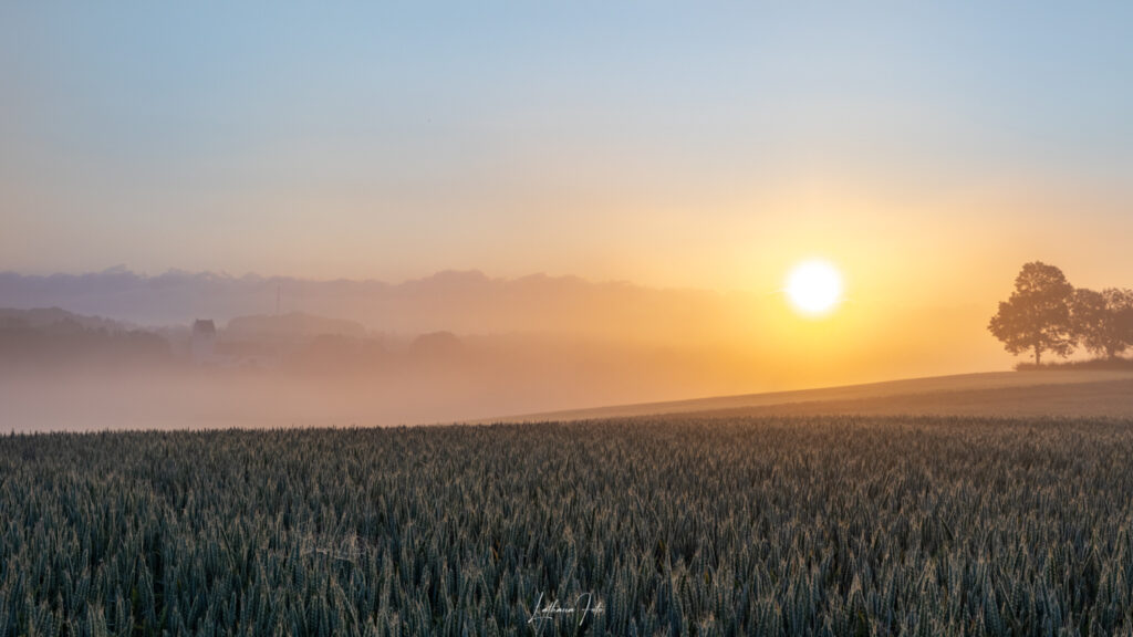 solopgang 190623 –3