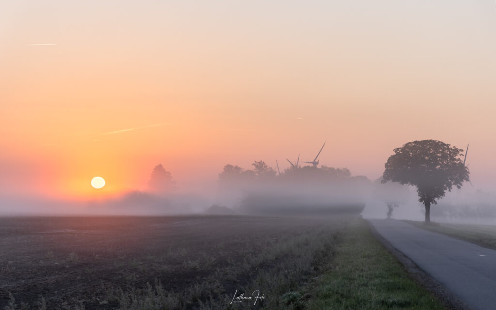 solopgang 190924 k9a73646-