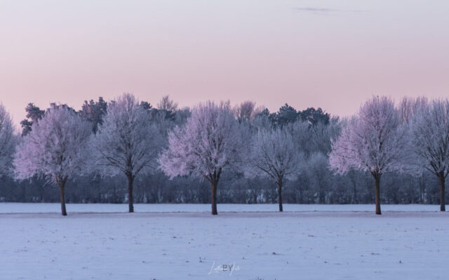 Morgenlys 150226 mg-0688