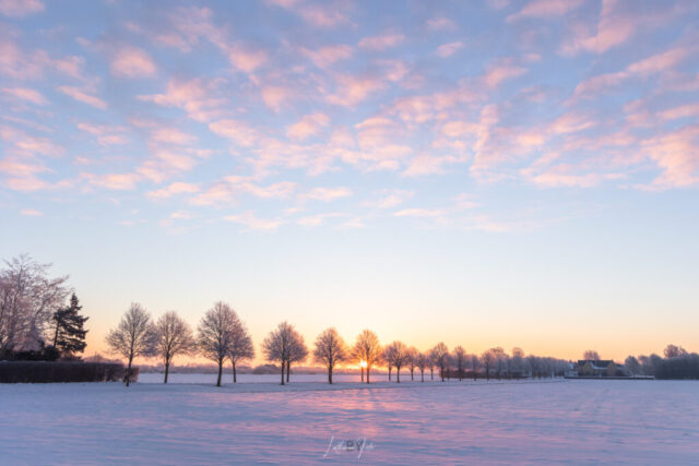vinter 150226 mg-0727