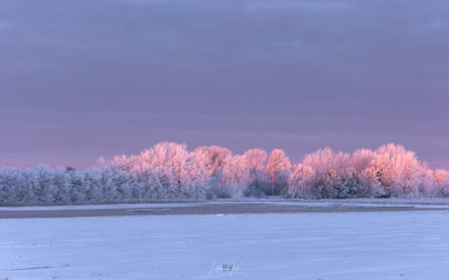 Vinter 150226 mg-0769